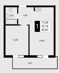 Однокомнатная квартира 45.8 м²